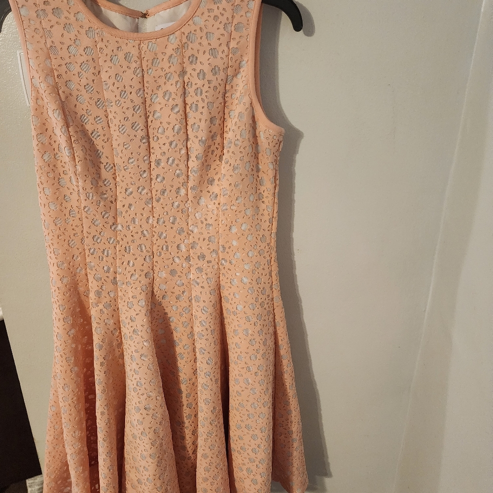 Calvin Klein Fit and Flare dress